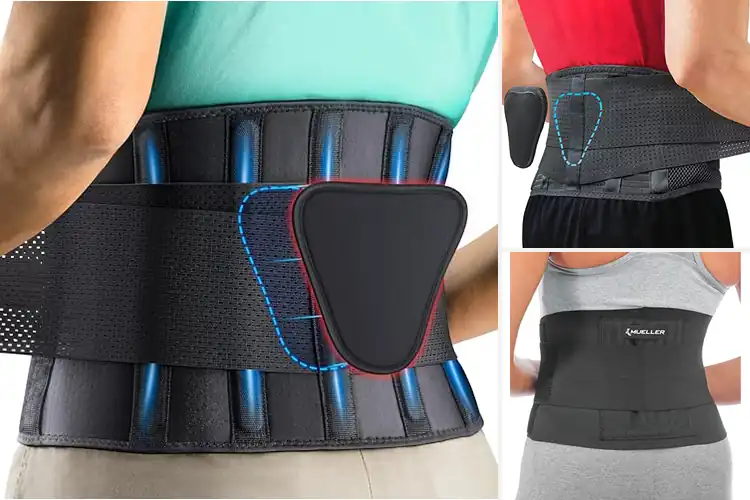 Detailed view of Best Back Support Belts for All-Day Comfort & Pain Relief