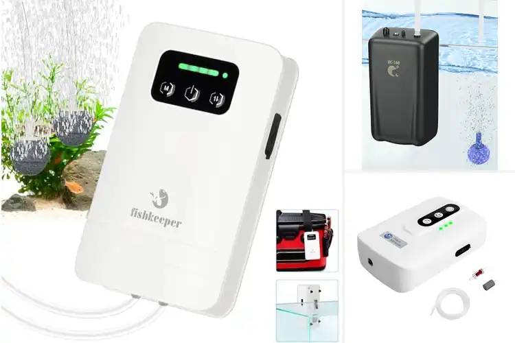 Detailed view of Best Battery Powered Aerators