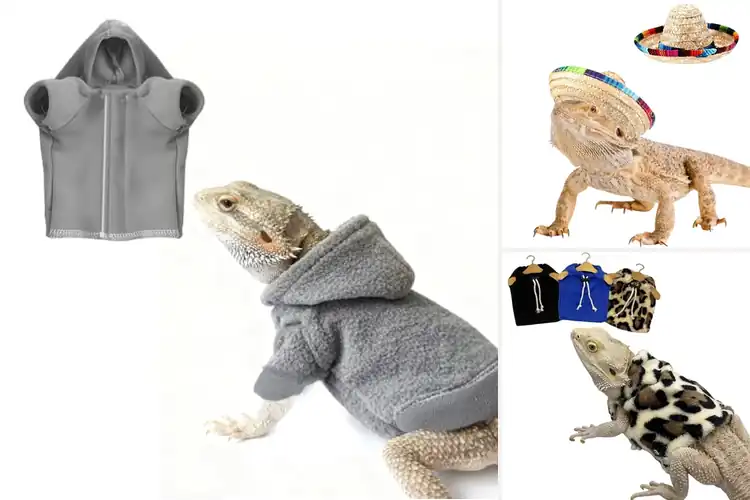 Detailed view of Best Bearded Dragon Clothes