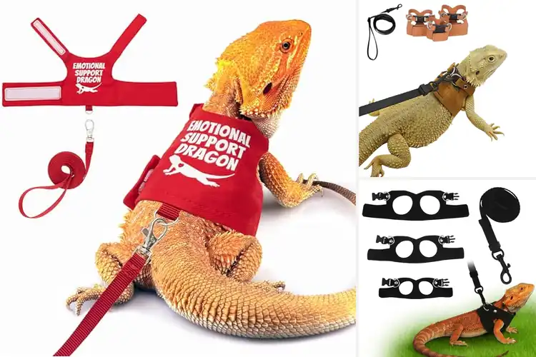 Detailed view of Best Bearded Dragon Harnesses