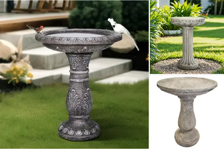 Detailed view of Best Concrete Look Bird Baths