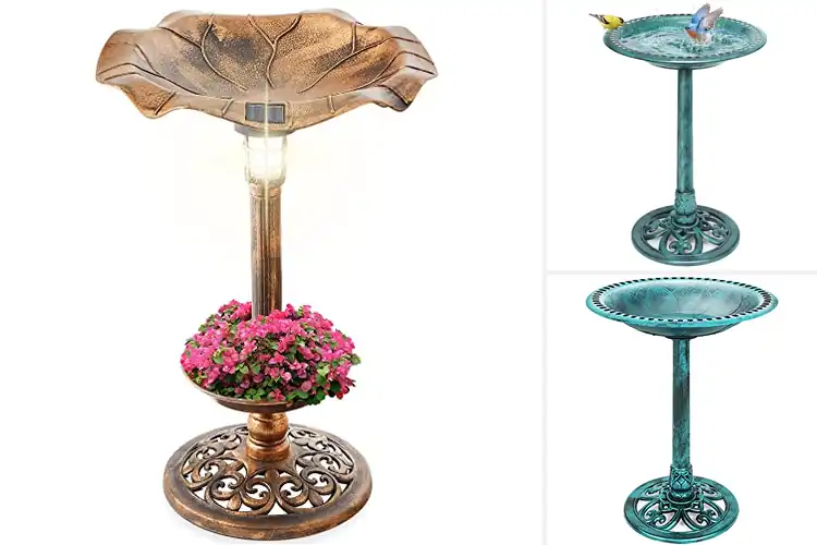 Detailed view of Best Decorative Bird Baths