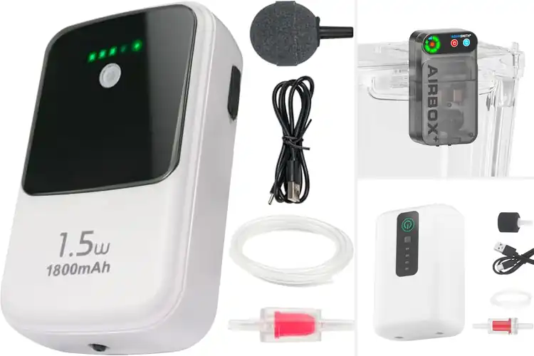 Detailed view of Best Dual Purpose Aquarium And Bait Aerator