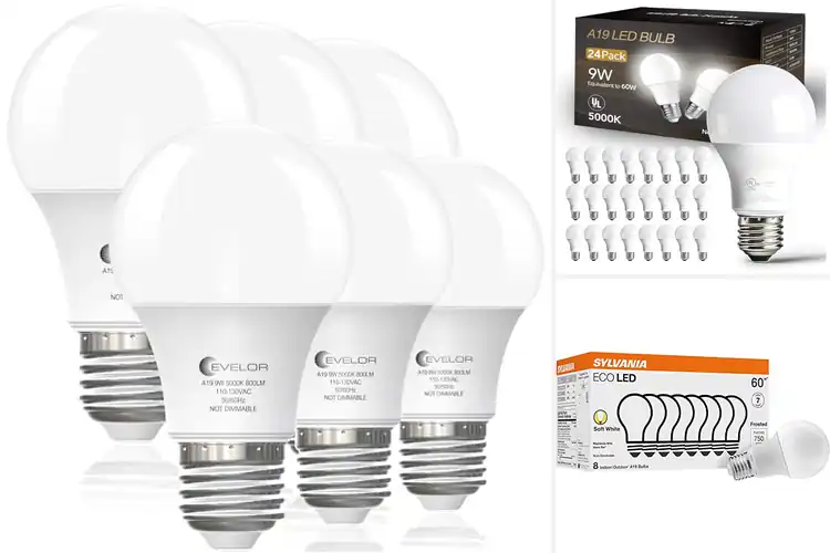 Detailed view of Best Energy Efficient Light Bulbs