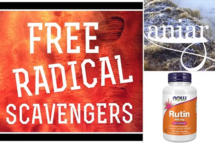 Detailed view of Best Free Radical Scavengers: Your Health Shield