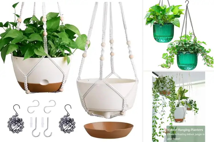 Detailed view of Best Hanging Planters: Top 10 Picks for Stylish Greenery