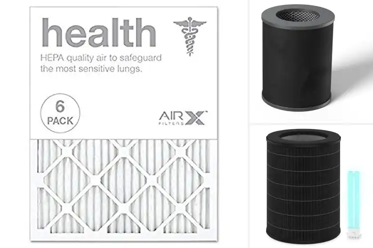 Detailed view of Best Health Air Filters