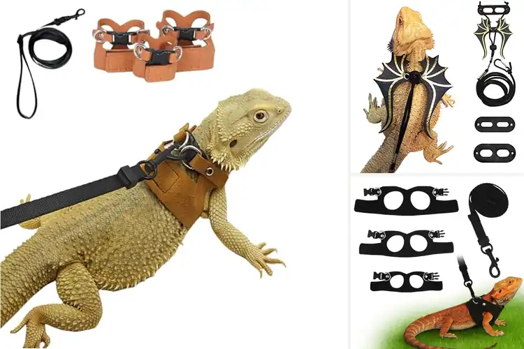 Detailed view of Best Lizard Leashes