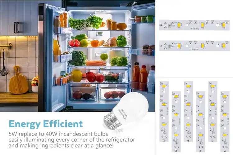 Detailed view of Best Premium Refrigerator Lighting
