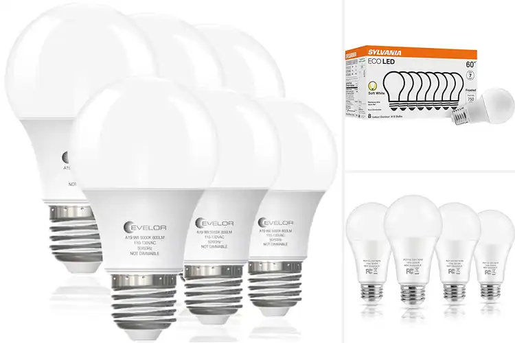 Detailed view of Best Quality Light Bulbs: Brighten Your Home with Top Picks