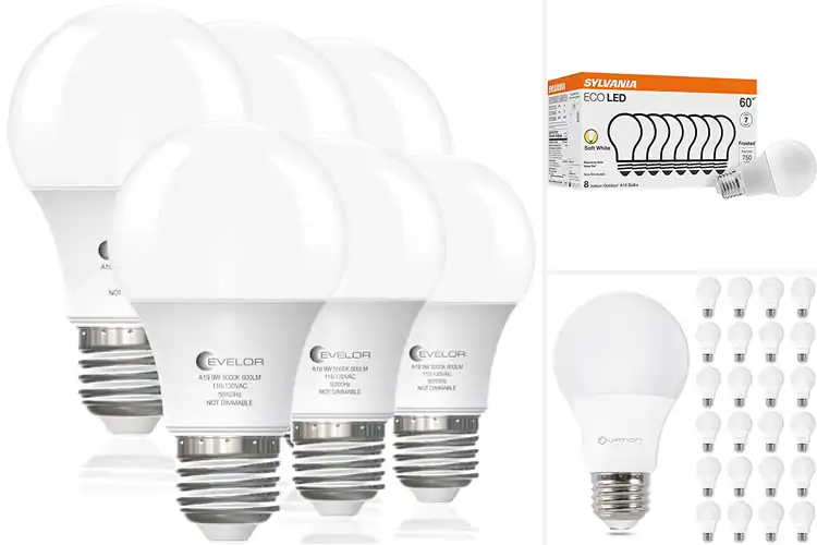 Detailed view of Best Replacement Light Bulbs
