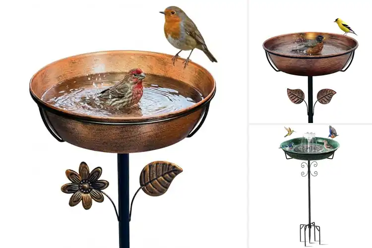 Detailed view of Best Stable Base Bird Baths