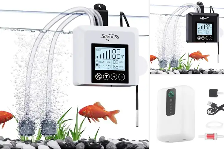 Detailed view of Best USB Rechargeable Portable Aerator