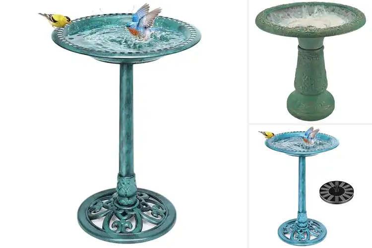 Detailed view of Best Weather-Resistant Bird Baths